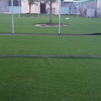 Animal Services-Large Dog Run Area