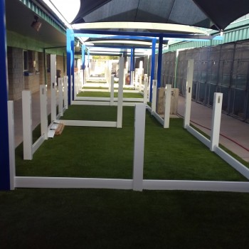 Animal Services-Pet Adoption Area