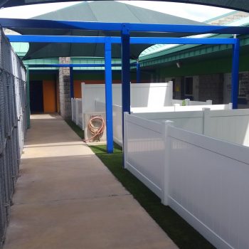 Animal Services-Finished
