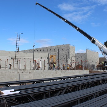 Morningside- Steel Frames For Gymnasium